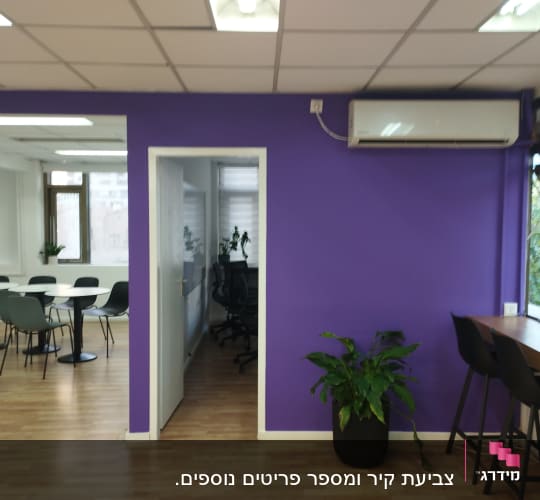 קיר סגול צבוע במשרד עם שולחנות וכיסאות